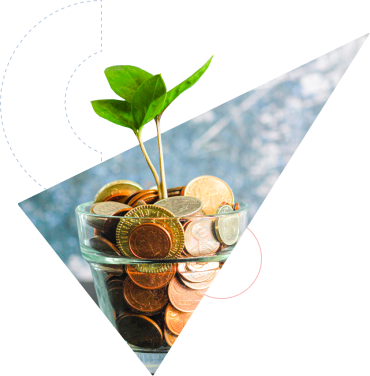 Group 345 Image of plant in a bows with coins