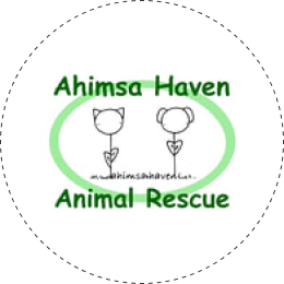 Ahimsa Haven Animal Rescue